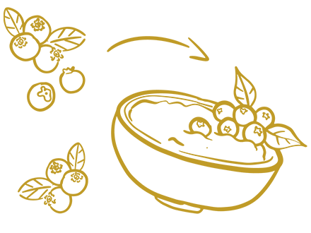 fruit