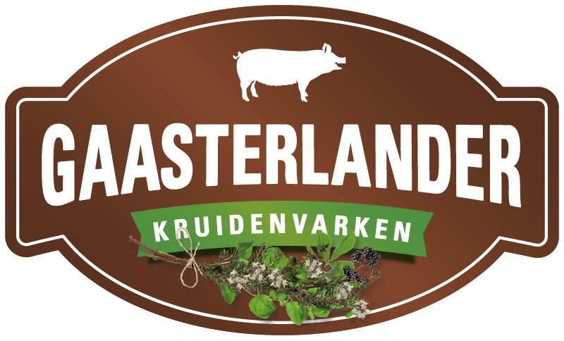 Gaasterland